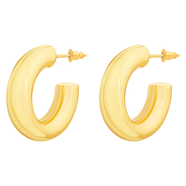 Brand New Gold Plated Earrings
