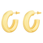Brand New Gold Plated Earrings